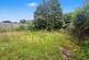 Additional image 7 of Wimborne
