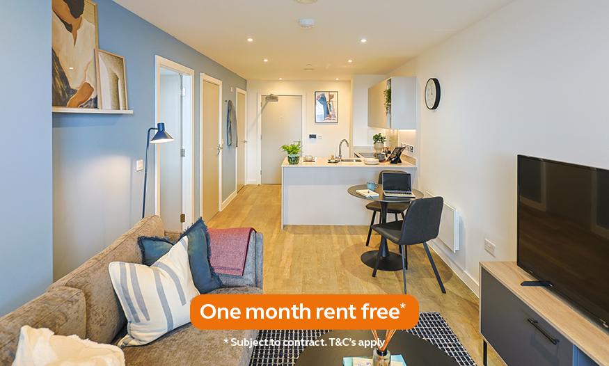 1 bedroom apartment to rent