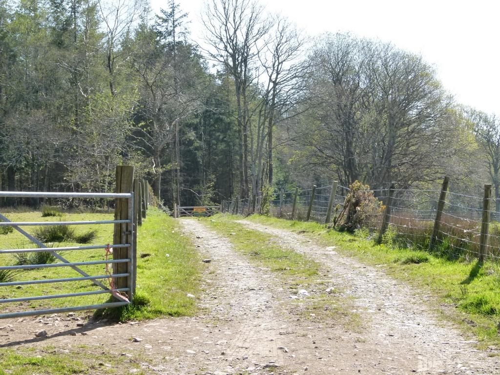 Greymuzzle Wood, Umberleigh, Devon EX37 - View 2