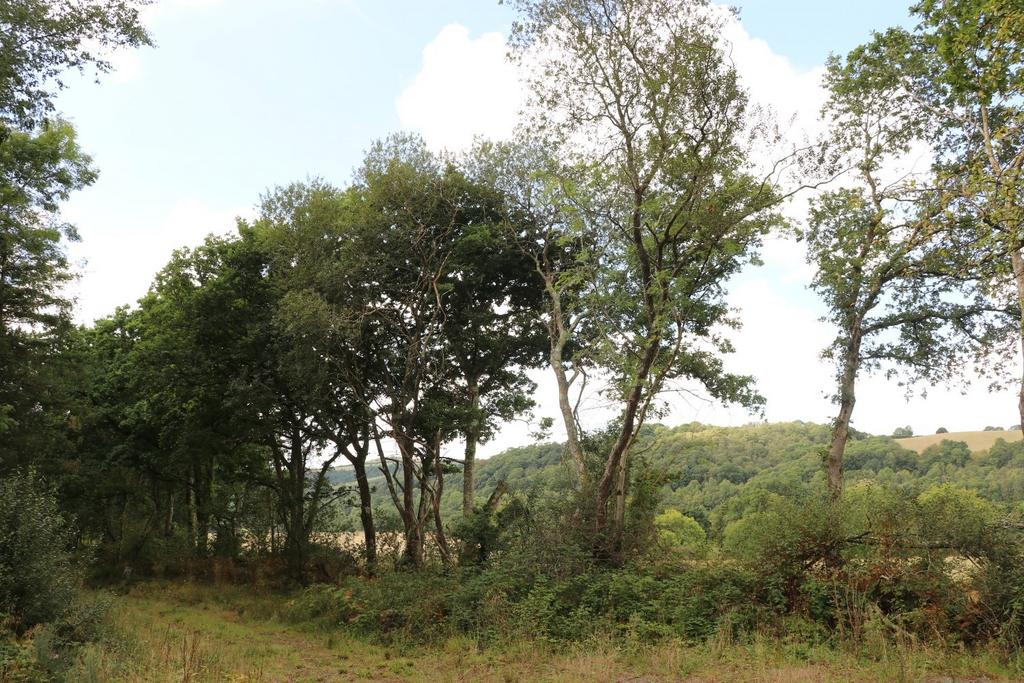 Greymuzzle Wood, Umberleigh, Devon EX37 - View 5