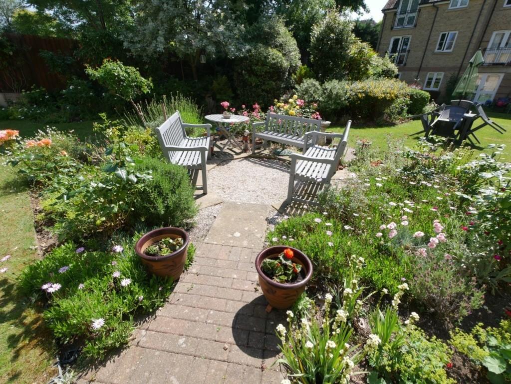 Garden view, garden