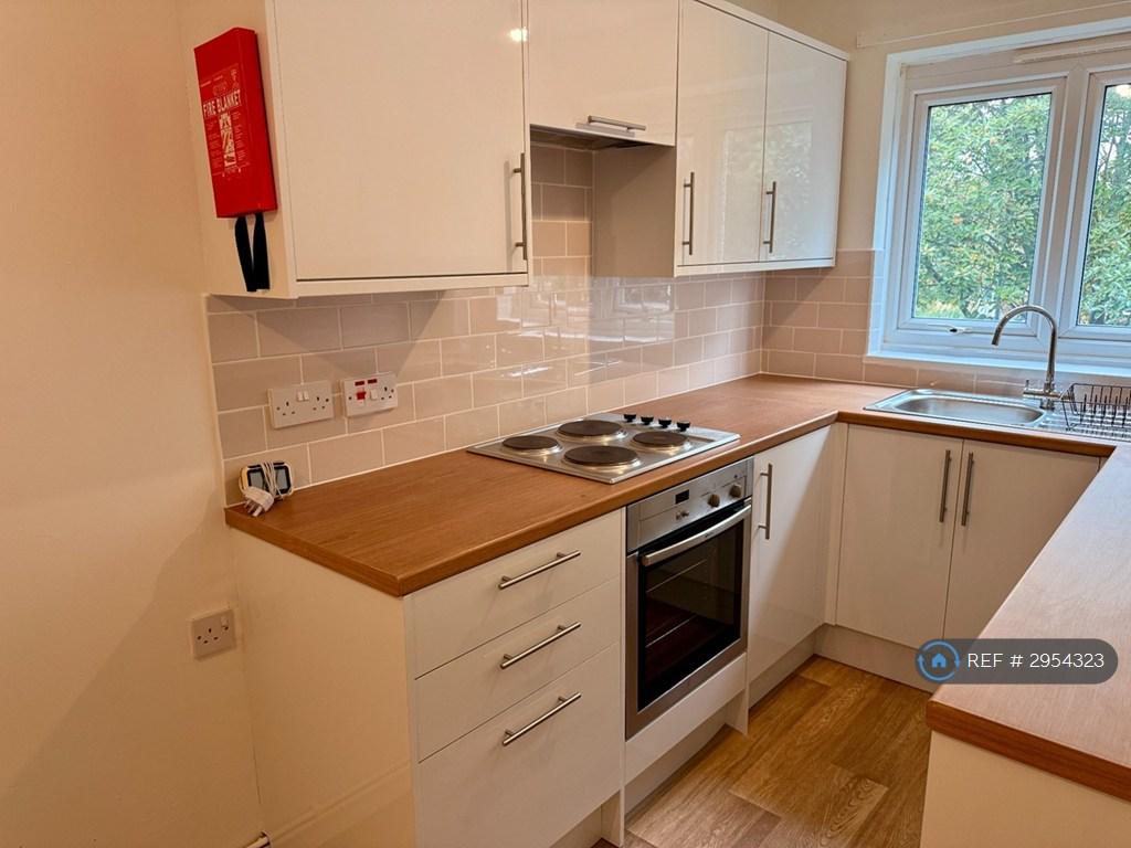 1 bedroom flat to rent