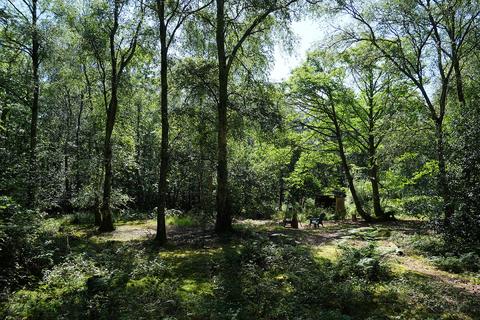 Woodland for sale, Binsted Lane, Arundel BN18