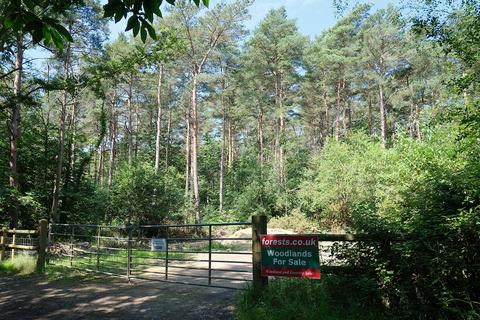 Woodland for sale, Binsted Lane, Arundel BN18