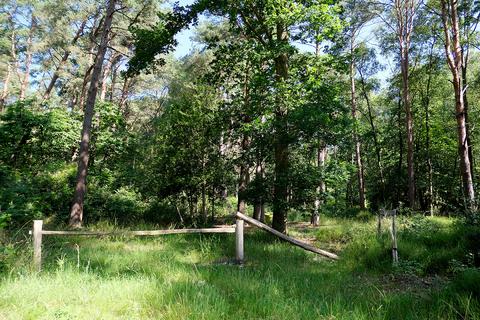 Woodland for sale, Binsted Lane, Arundel BN18