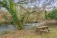 Bere Peninsula, West Devon photo 4