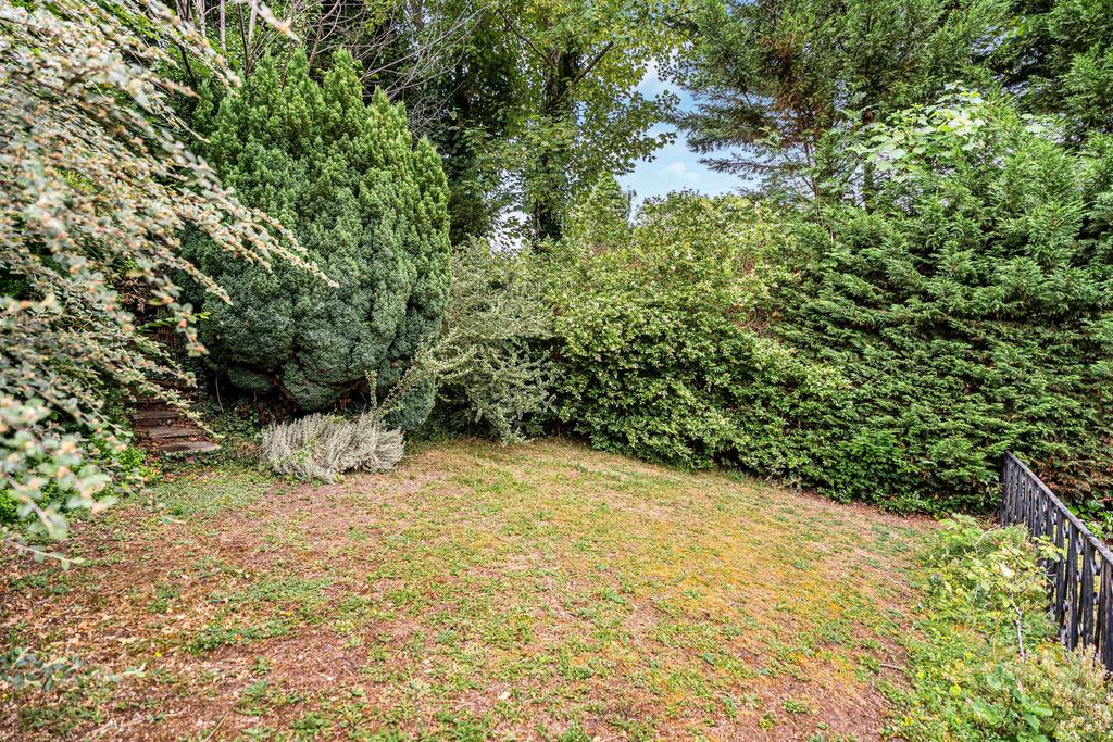 Garden view, garden