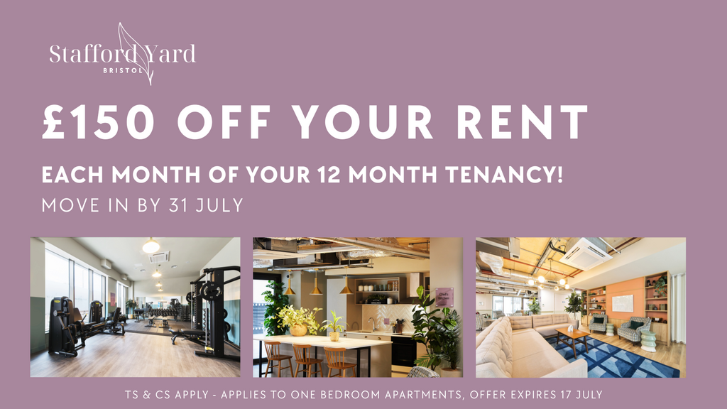 1 bedroom apartment to rent