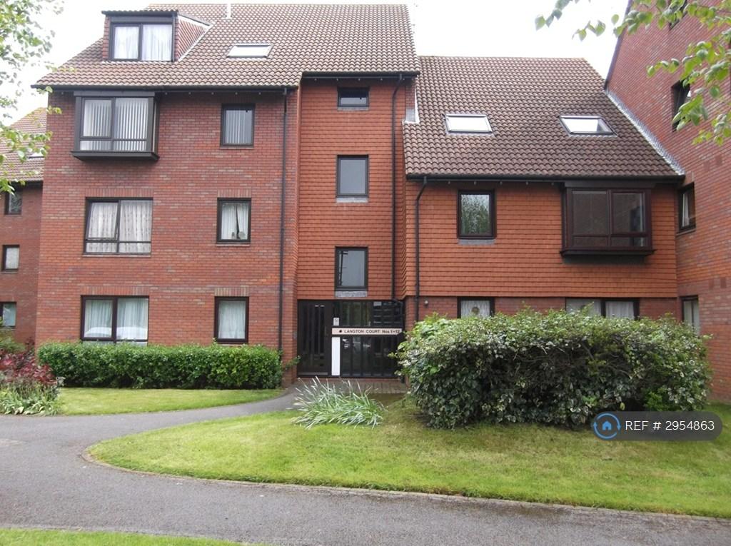 1 bedroom flat to rent