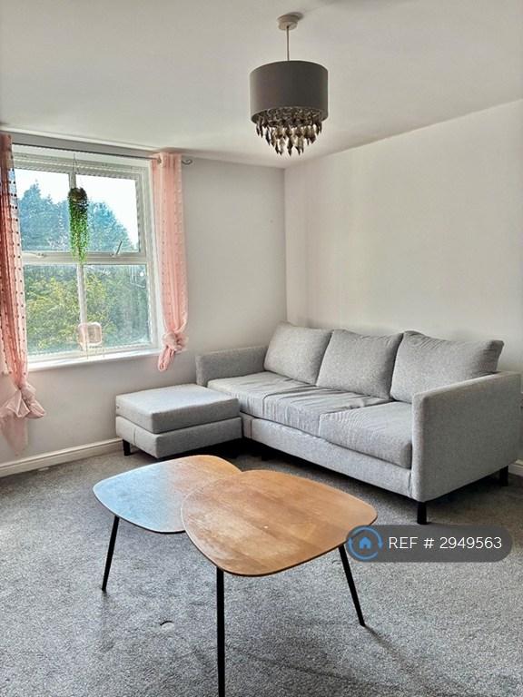 Harvard Grove, Salford, M6 - More