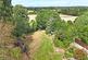 Sway Road, Brockenhurst, Hampshire, SO42 photo 3