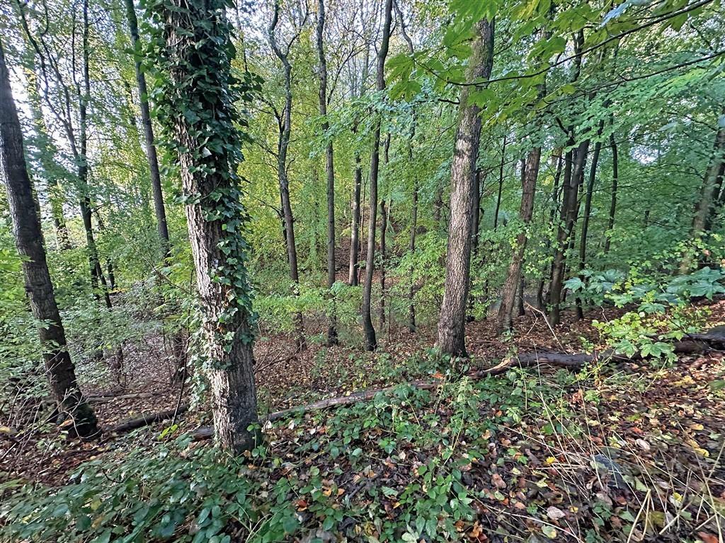 Wigan Road, LEYLAND - View 2