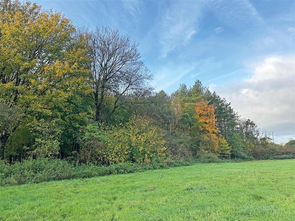 Wigan Road, LEYLAND - View 3