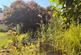 Additional image 26 of Down Road, Portishead, Bristol, Somerset, BS20