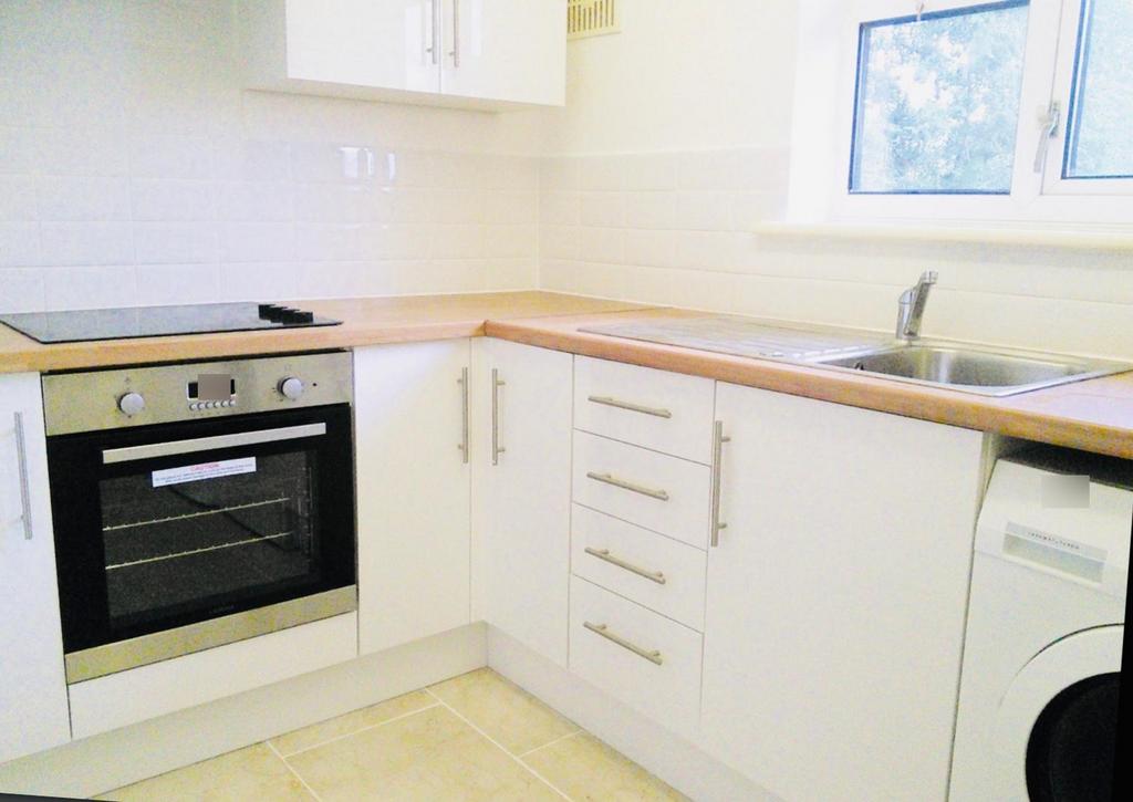 1 bedroom apartment to rent