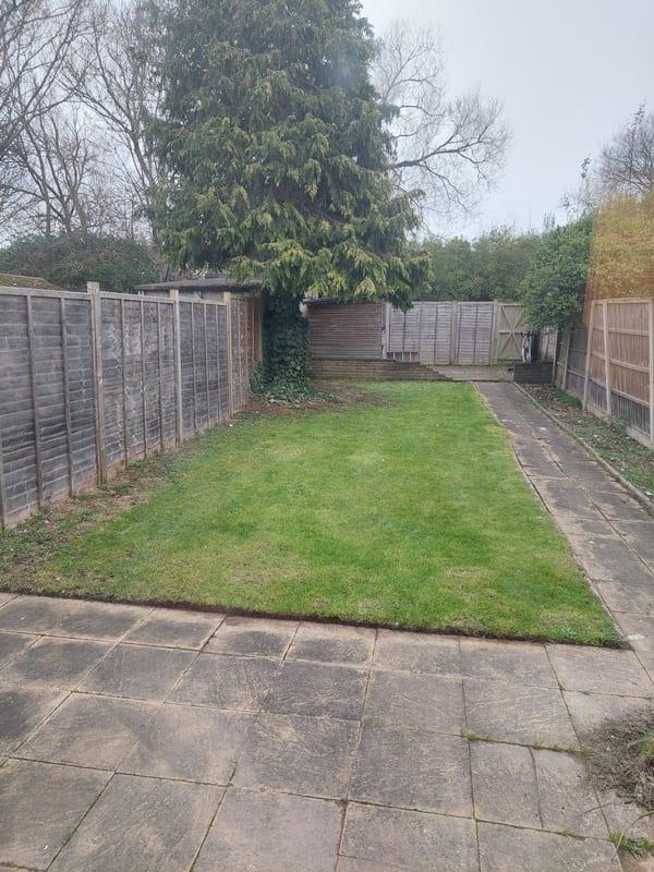 Garden view, garden