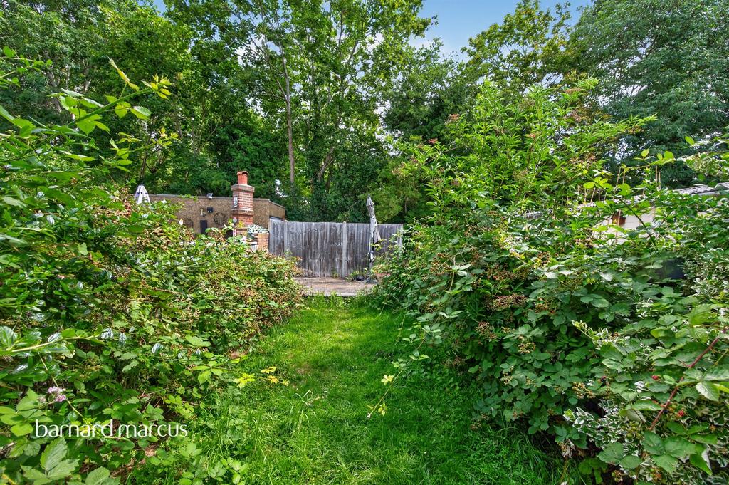 Garden view, garden