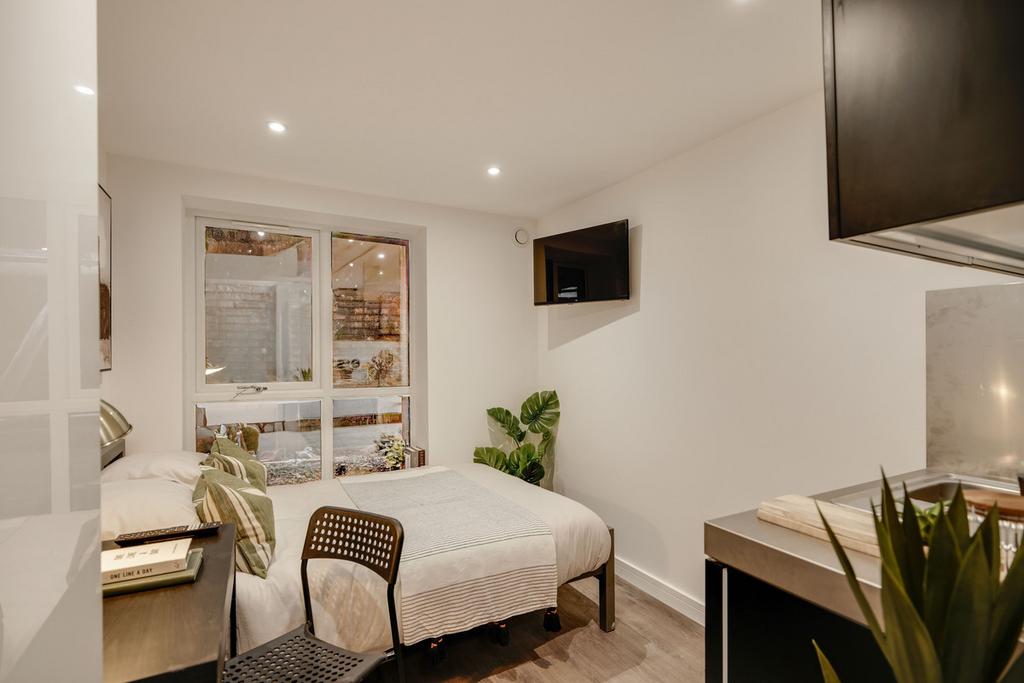 1 bedroom apartment to rent