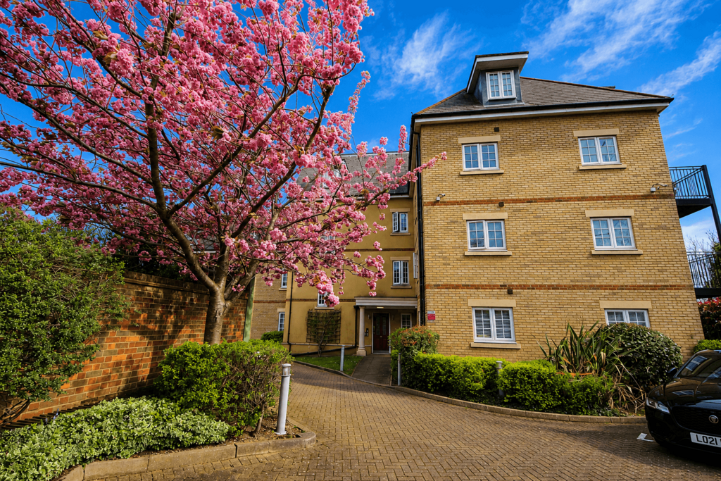 2 bedroom flat to rent