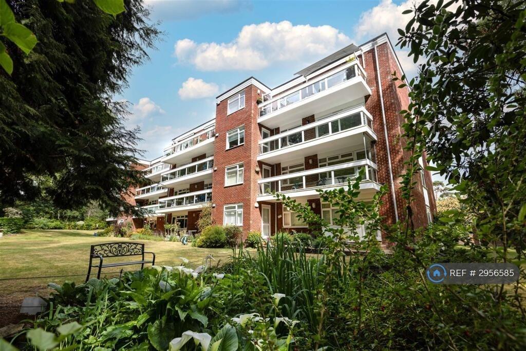3 bedroom flat to rent