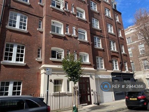 1 bedroom flat to rent