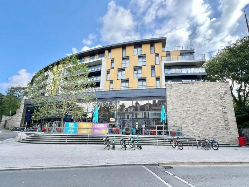 2 bedroom flat to rent