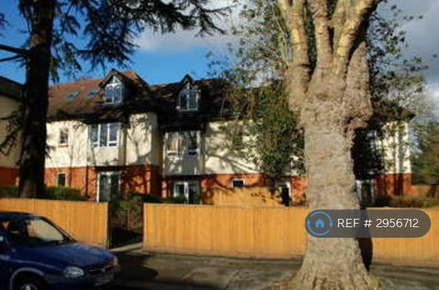 2 bedroom flat to rent