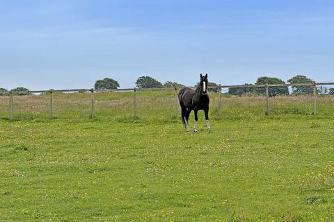 Smallholding for sale, Whauphill DG8
