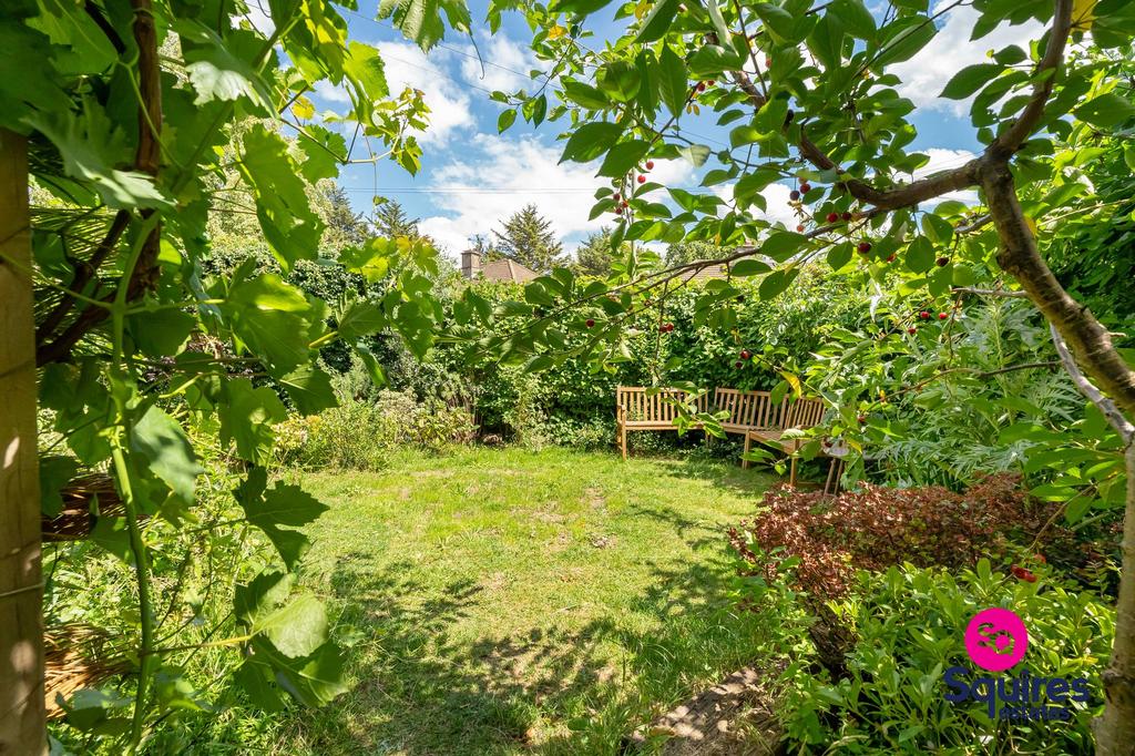 Garden view, garden