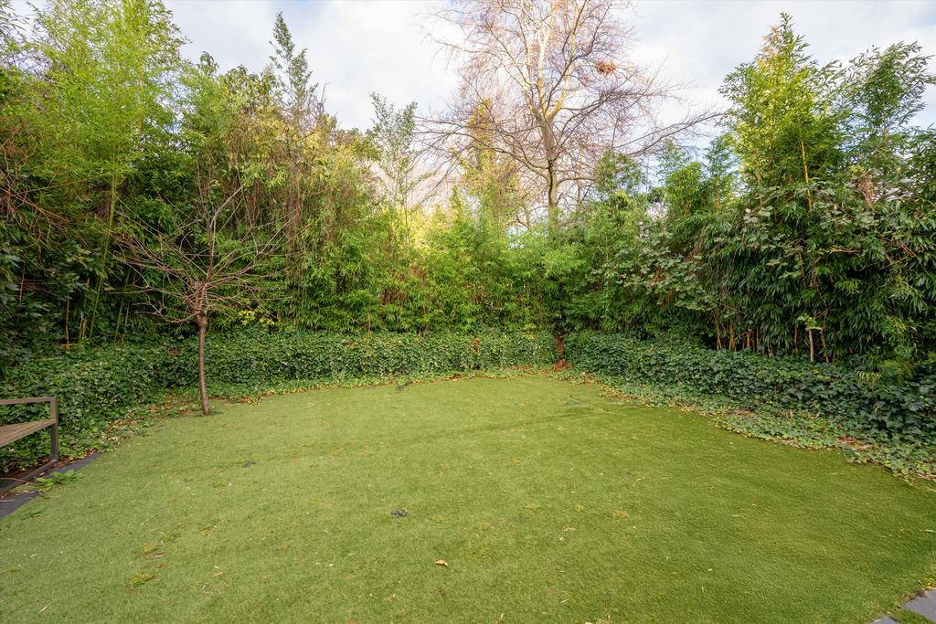 Garden view, garden