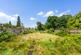 Midway, St. Albans, Hertfordshire photo 2