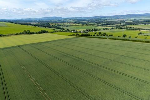 Farm for sale, Balnacake and Netherton Farms, Brechin, Angus, DD9