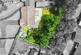 Additional image 23 of Primrose Way, Queniborough, LE7