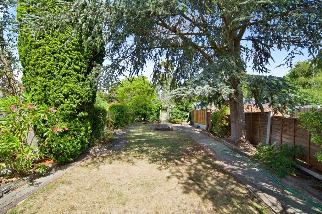 Garden view, garden