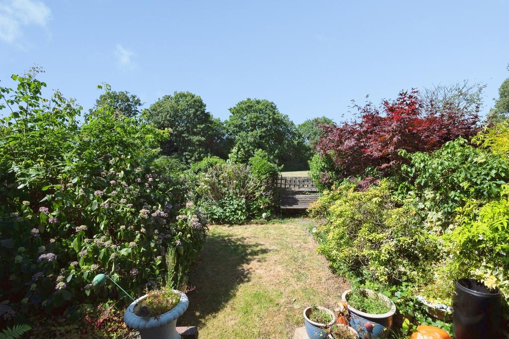Garden view, garden
