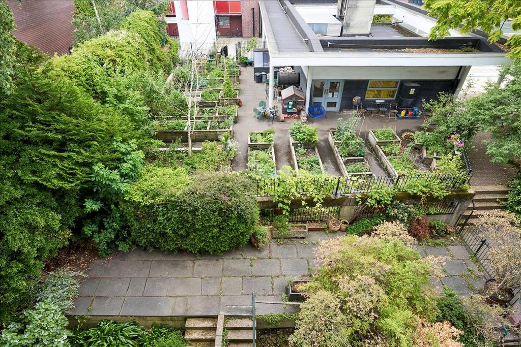 Garden view, garden