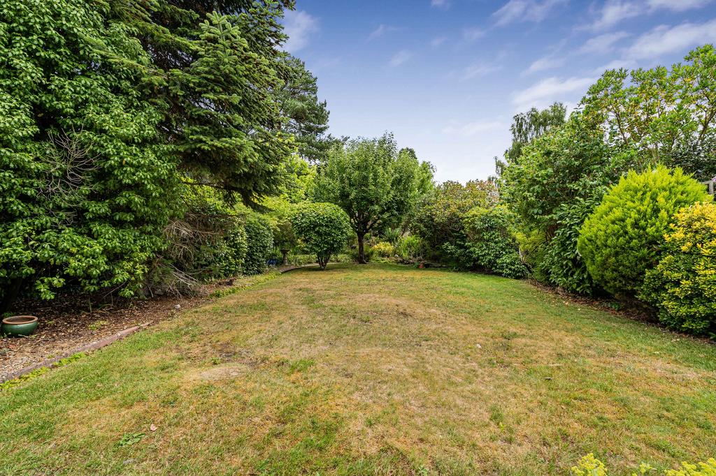 Garden view, garden