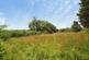 Additional image 51 of Pelynt, Looe, Cornwall, PL13