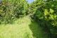 Additional image 53 of Pelynt, Looe, Cornwall, PL13