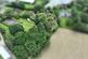 Church Road, Flowers Green, Herstmonceux, BN27