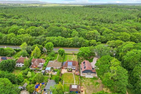 3 bedroom detached bungalow for sale, Polegate Road, Hailsham