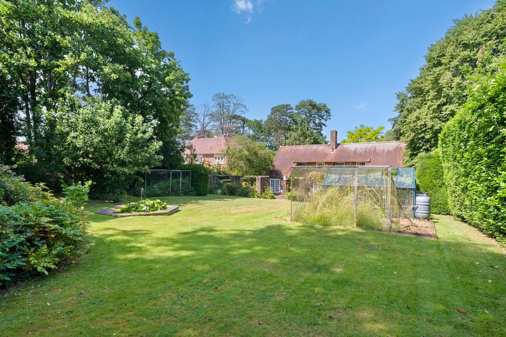 Garden view, garden