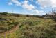South Cliff, Portpatrick, DG9 photo 5