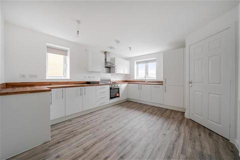 undefined, Theodore Close, S63