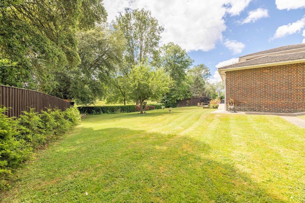 Garden view, garden
