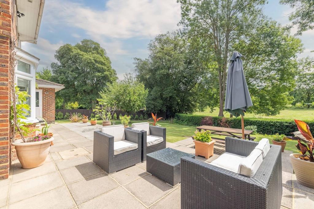 Patio view, garden