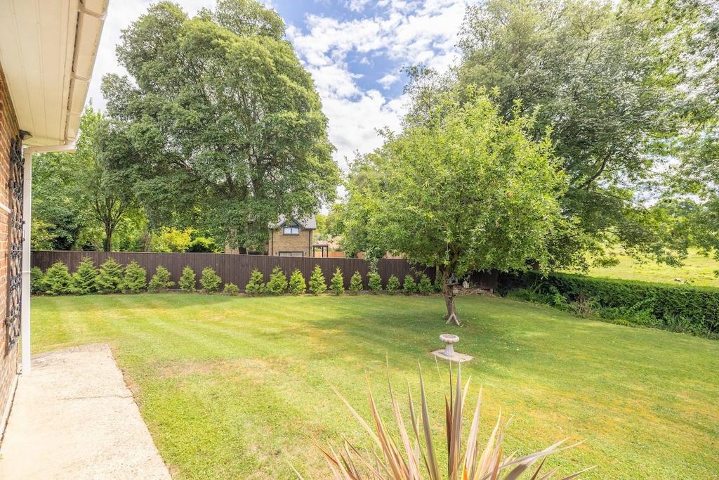 Garden view, garden