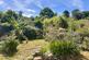 Woodcombe, Minehead, Somerset, TA24 photo 3