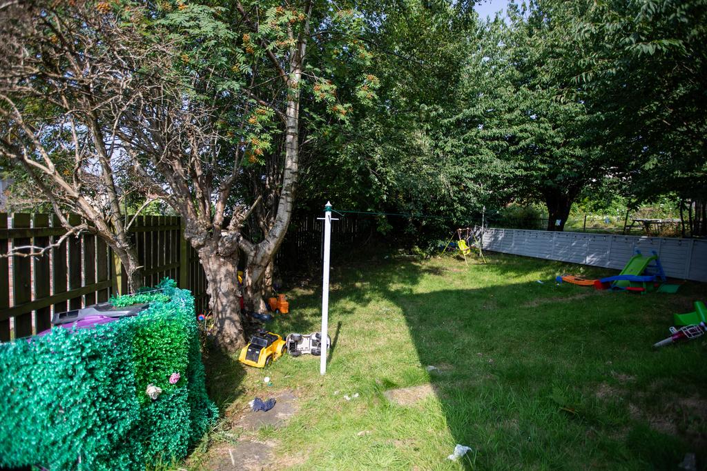 Backyard Space