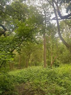 Land for sale, Woodhouse, Worksop